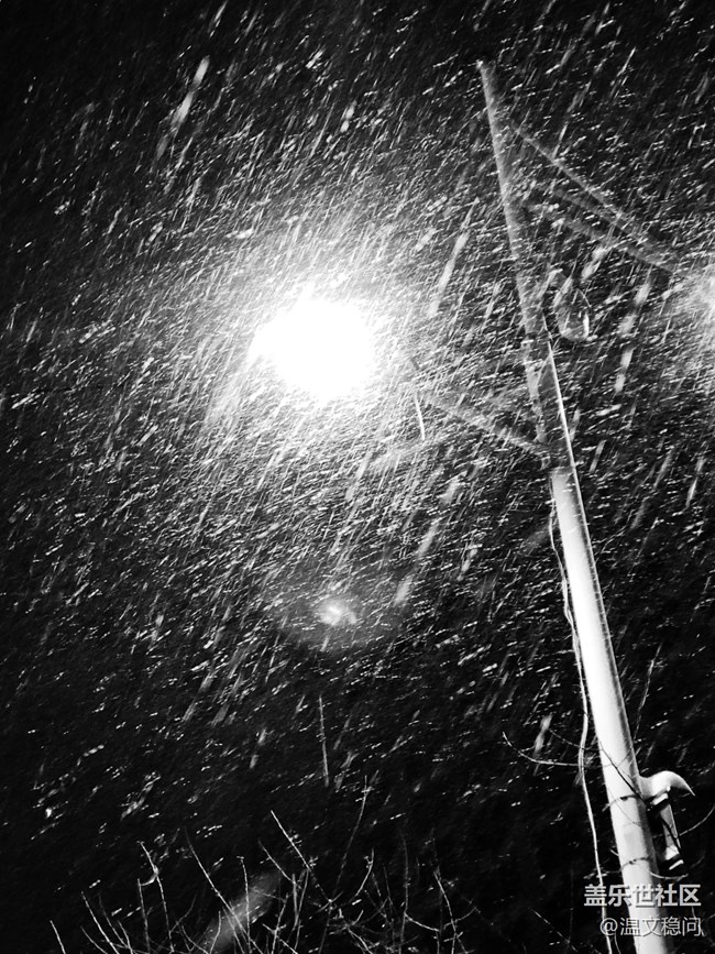 【簡單的黑白灰】一場雪