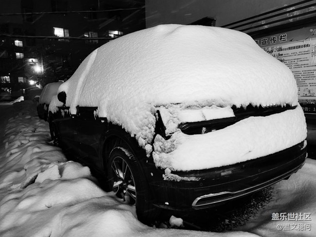 【簡單的黑白灰】一場雪