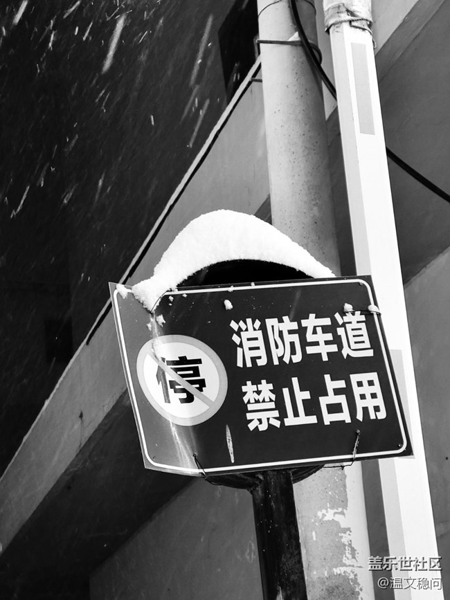 【簡單的黑白灰】一場雪