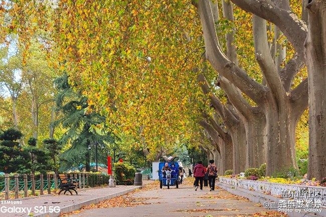 《每周星鮮事》 第87期:數(shù)據(jù)遷移，登記領(lǐng)2000星鉆