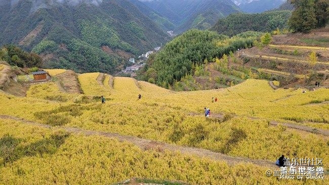 《每周星鮮事》 第87期: