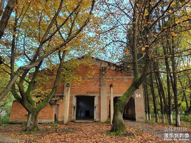 《每周星鮮事》 第87期: