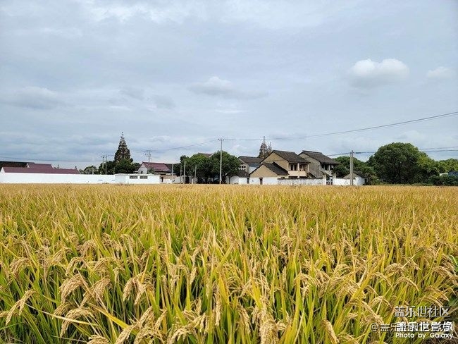 《每周星鮮事》 第87期: