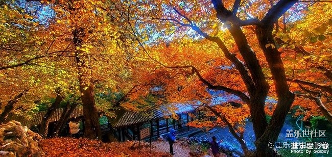 《每周星鮮事》 第87期: