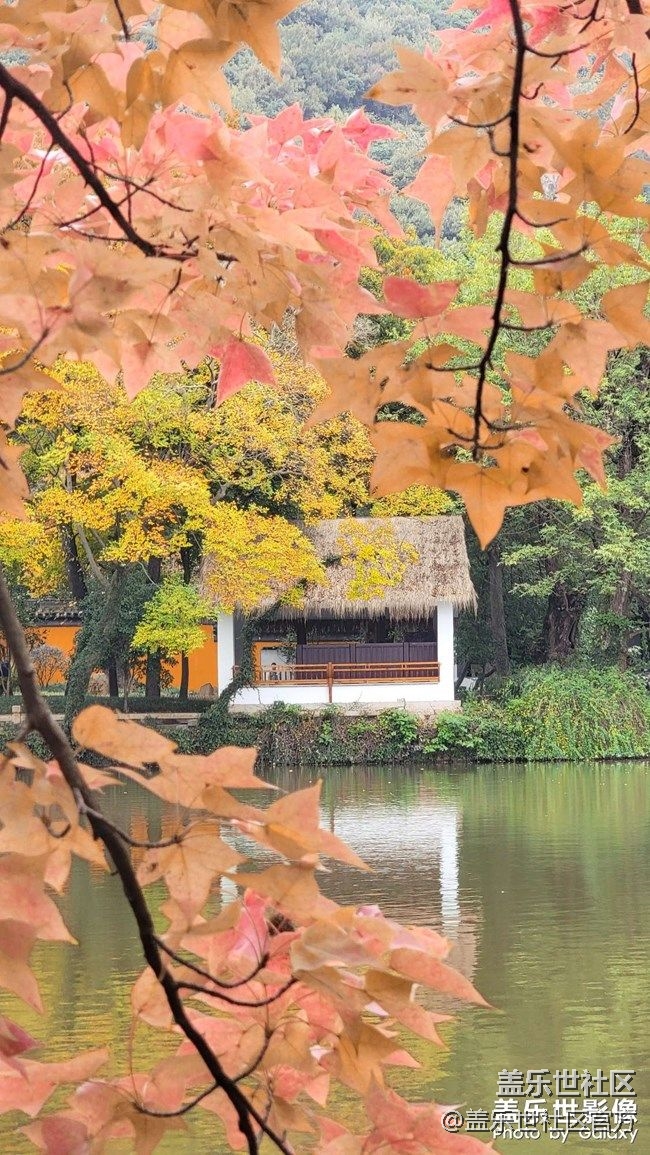 《每周星鮮事》 第87期:數(shù)據(jù)遷移，登記領(lǐng)2000星鉆