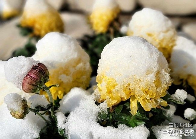 《每周星鮮事》 第87期:數(shù)據(jù)遷移，登記領(lǐng)2000星鉆