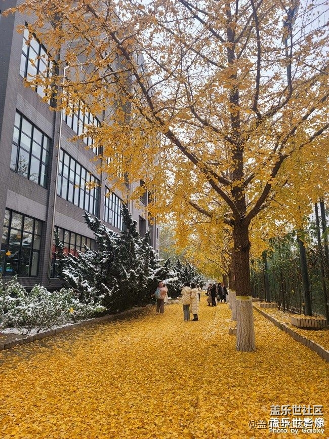 《每周星鮮事》 第87期:數(shù)據(jù)遷移，登記領(lǐng)2000星鉆