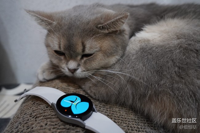 【Galaxy Watch4系列星粉體驗(yàn)團(tuán)】從芯開始