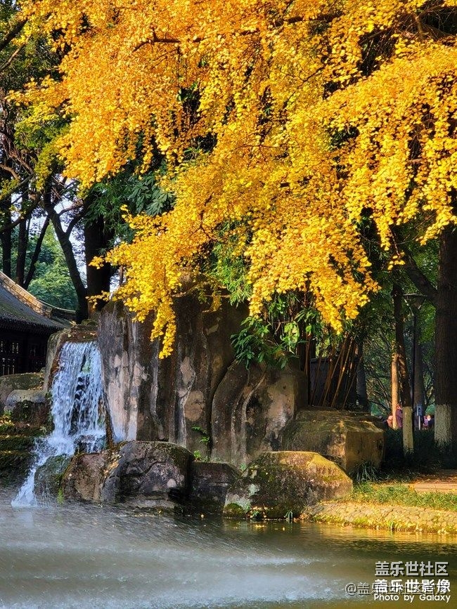 《每周星鮮事》 第87期: