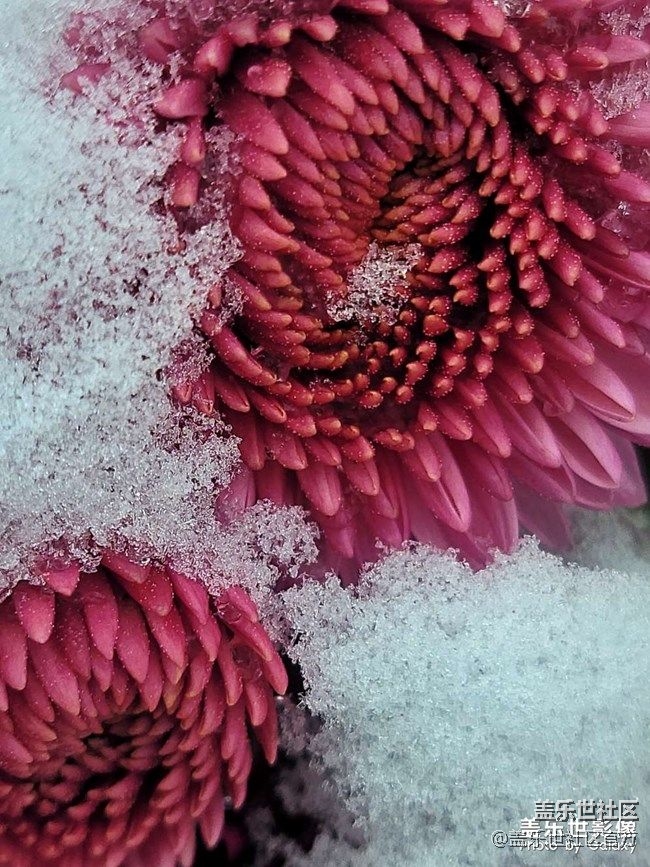 《每周星鮮事》 第87期:數(shù)據(jù)遷移，登記領(lǐng)2000星鉆