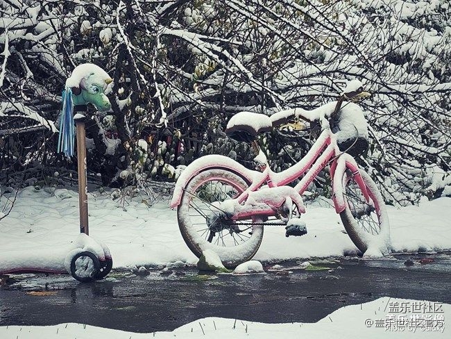 《每周星鮮事》 第87期:數(shù)據(jù)遷移，登記領(lǐng)2000星鉆