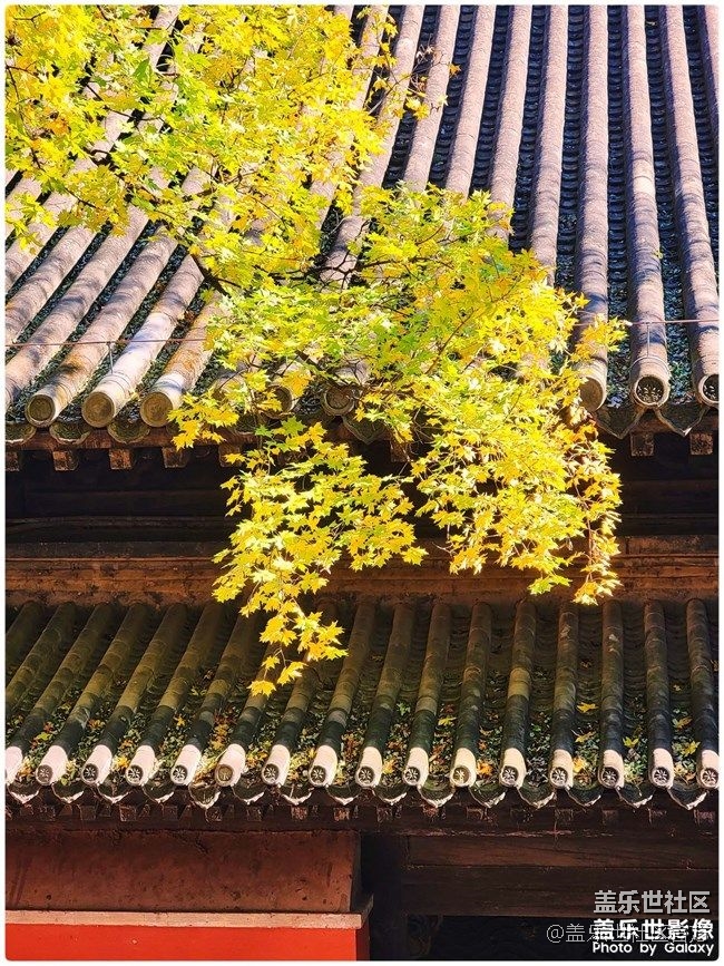 《每周星鮮事》 第87期: