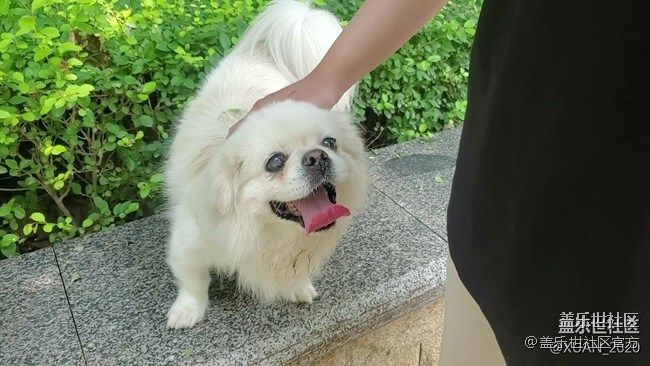 《每周星鮮事》 第87期:數(shù)據(jù)遷移，登記領(lǐng)2000星鉆