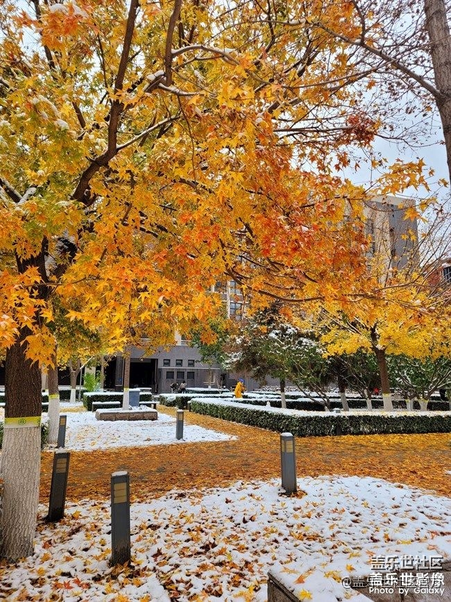 《每周星鮮事》 第87期: