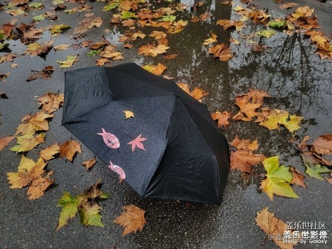 《每周星鮮事》 第87期:數(shù)據(jù)遷移，登記領(lǐng)2000星鉆