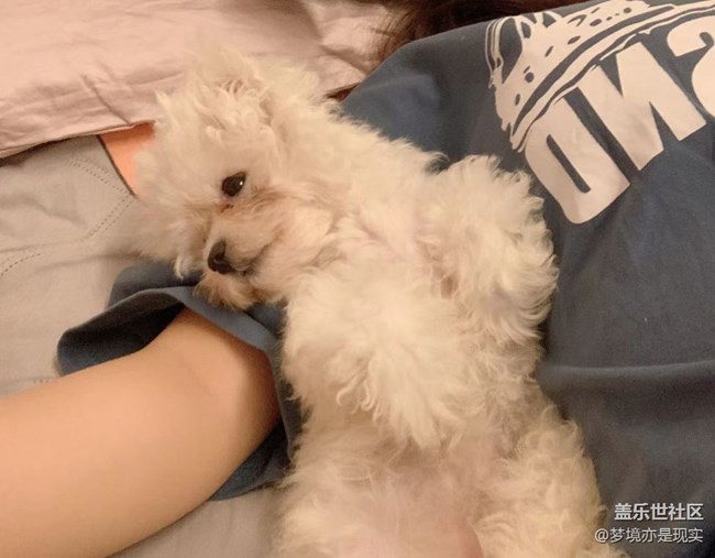 【寵物】我家的小成員