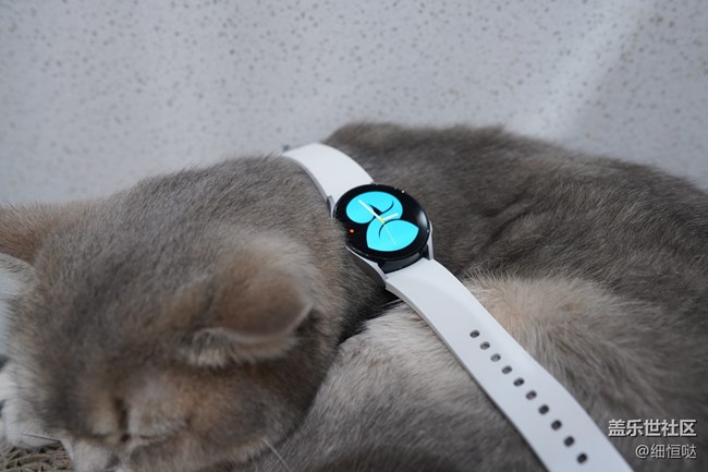 【Galaxy Watch4系列星粉體驗(yàn)團(tuán)】從芯開始