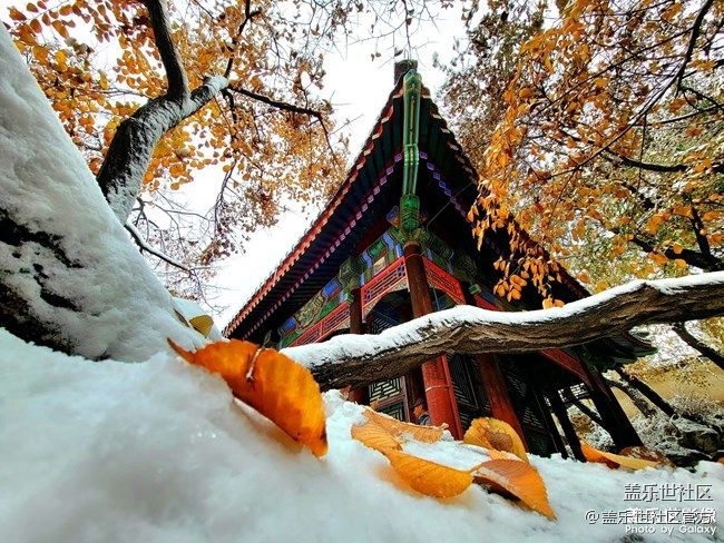 《每周星鮮事》 第87期: