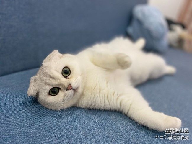 《每周星鮮事》 第87期:數(shù)據(jù)遷移，登記領(lǐng)2000星鉆