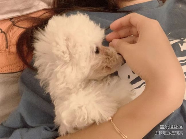 【寵物】我家的小成員