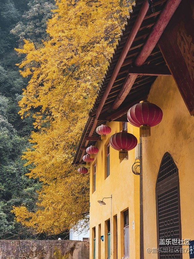 《每周星鮮事》 第87期: