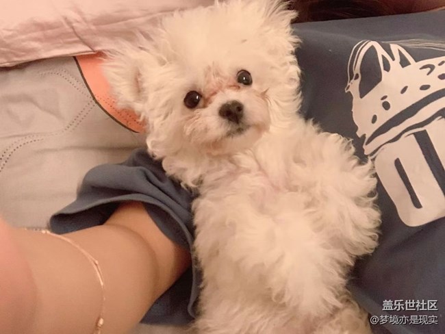 【寵物】我家的小成員