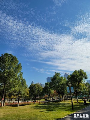 11月的沙湖公園