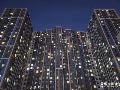 鋼鐵森林