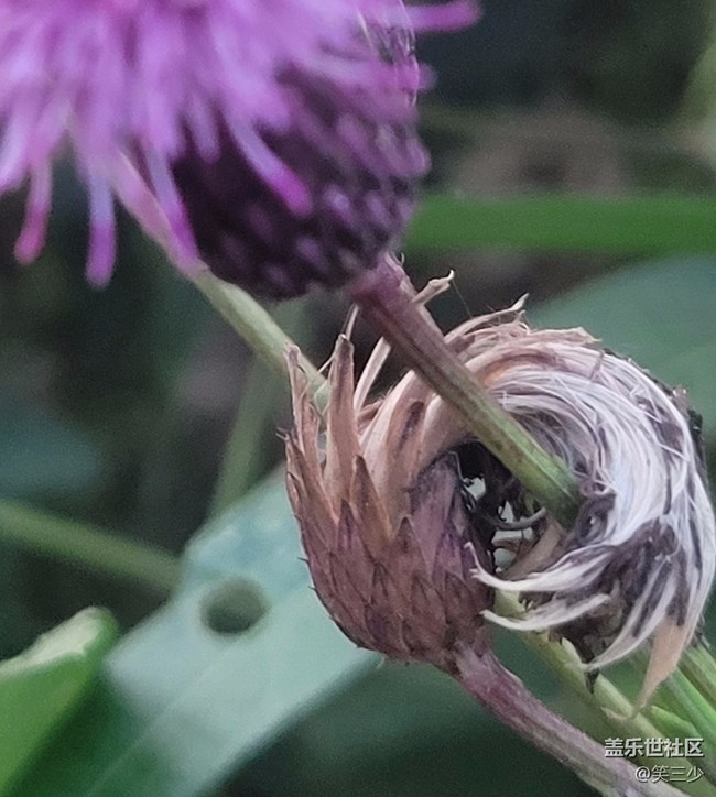 #愛在深秋+一個人的騎行