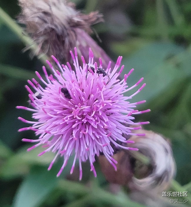 #愛在深秋+一個人的騎行