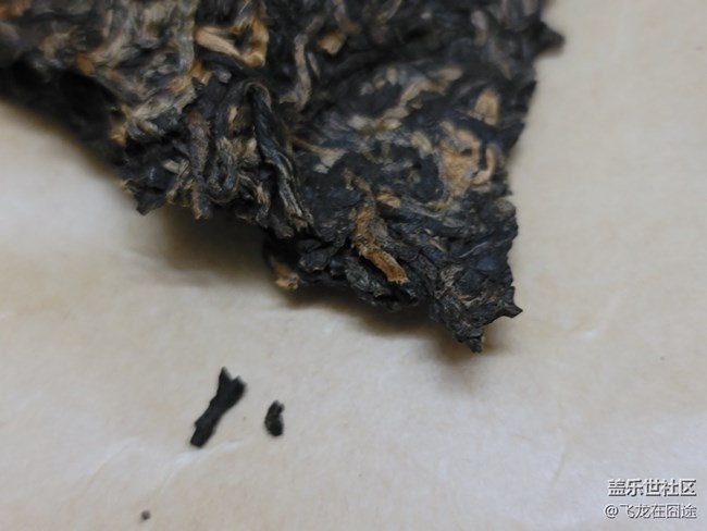 #初冬印象——泡個(gè)茶