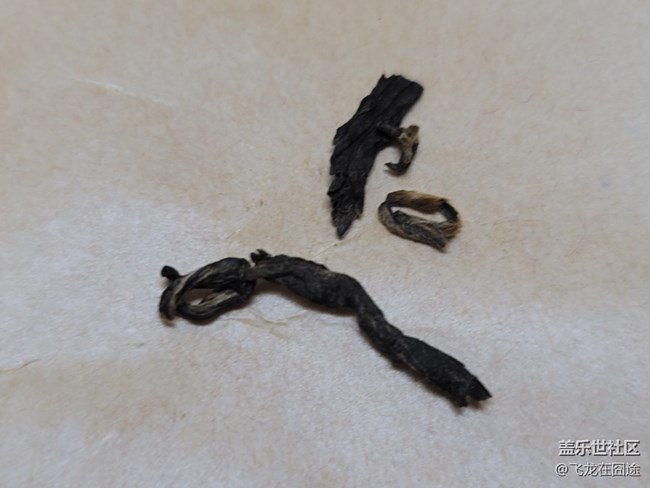 #初冬印象——泡個(gè)茶