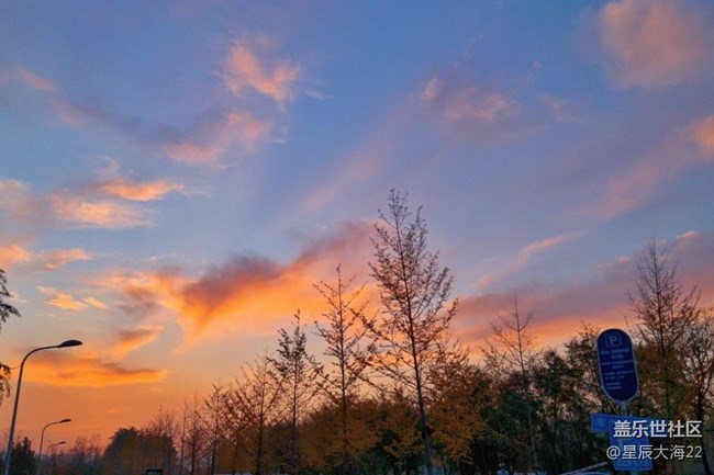 #愛在深秋——樹葉黃了