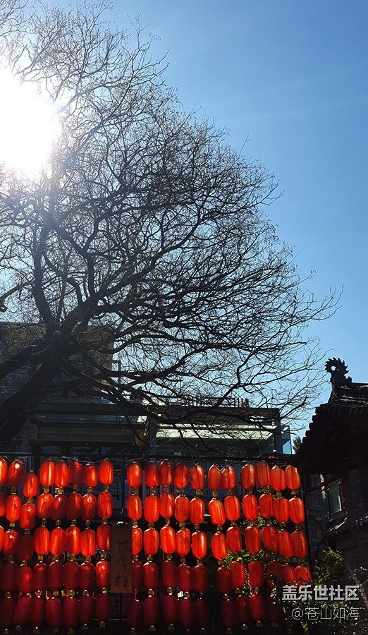 [冬日暖陽(yáng)]—彩云之南