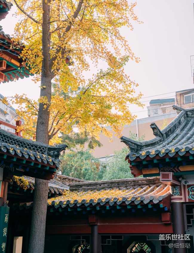 濟(jì)南星部落11月攝影活動回顧