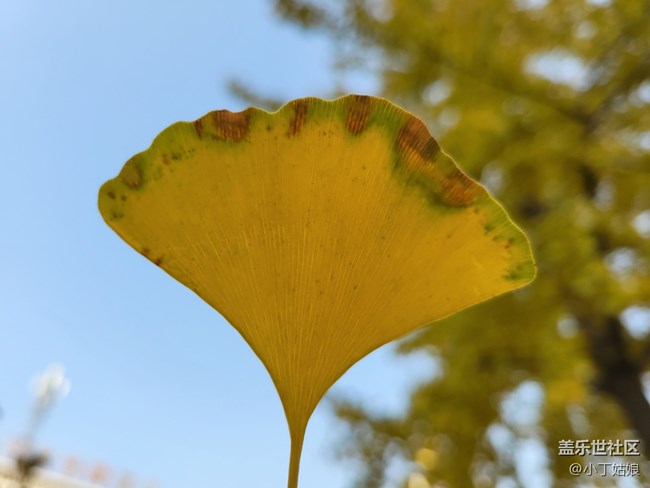 趁著冬天還沒完全來到，趕緊拍幾張吧~