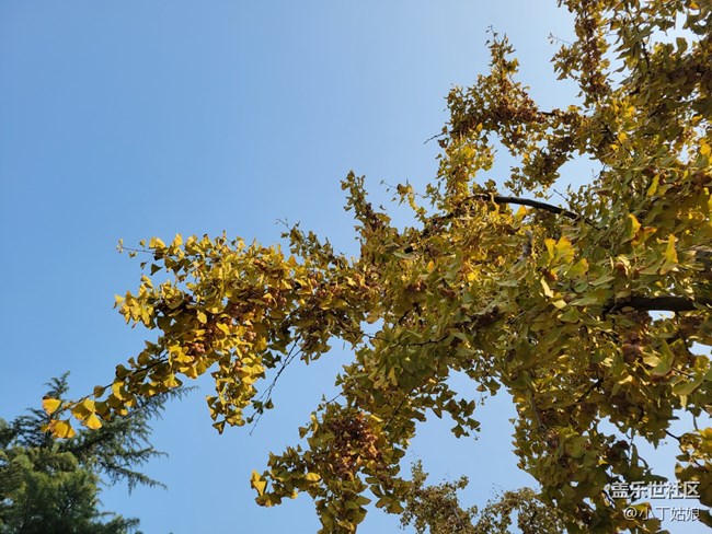 趁著冬天還沒完全來到，趕緊拍幾張吧~