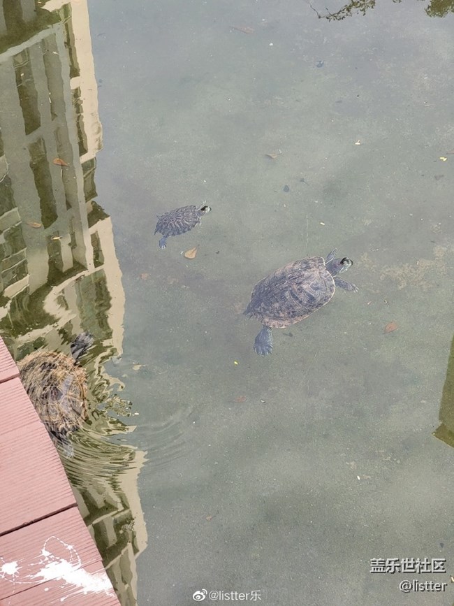 三星S21 Ultra后置鏡頭隨手拍