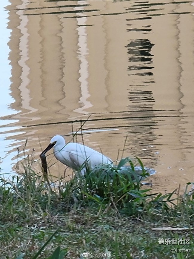 三星S21 Ultra后置鏡頭隨手拍