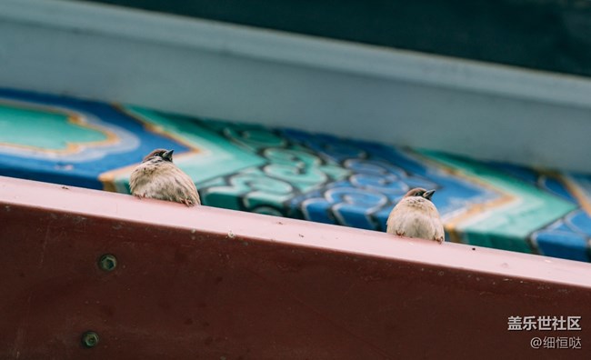 濟(jì)南星部落11月攝影活動回顧