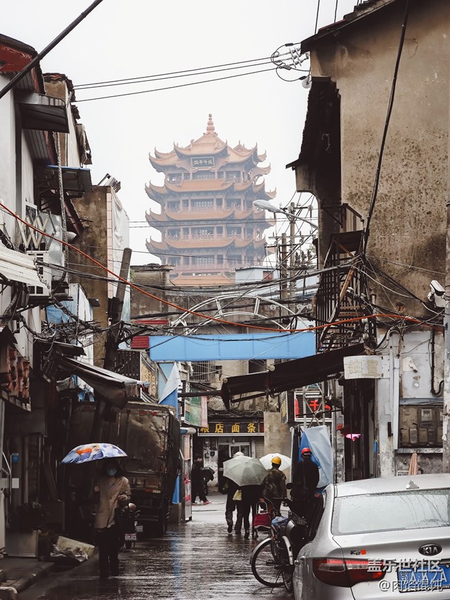 【武漢的秋】我言秋日勝春朝