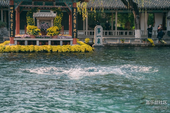 濟(jì)南星部落11月攝影活動回顧