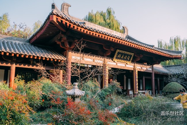 濟(jì)南星部落11月攝影活動回顧