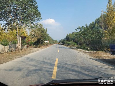 太陽下流浪