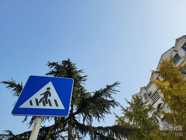 趁著冬天還沒完全來到，趕緊拍幾張吧~