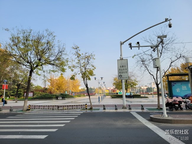 趁著冬天還沒完全來到，趕緊拍幾張吧~