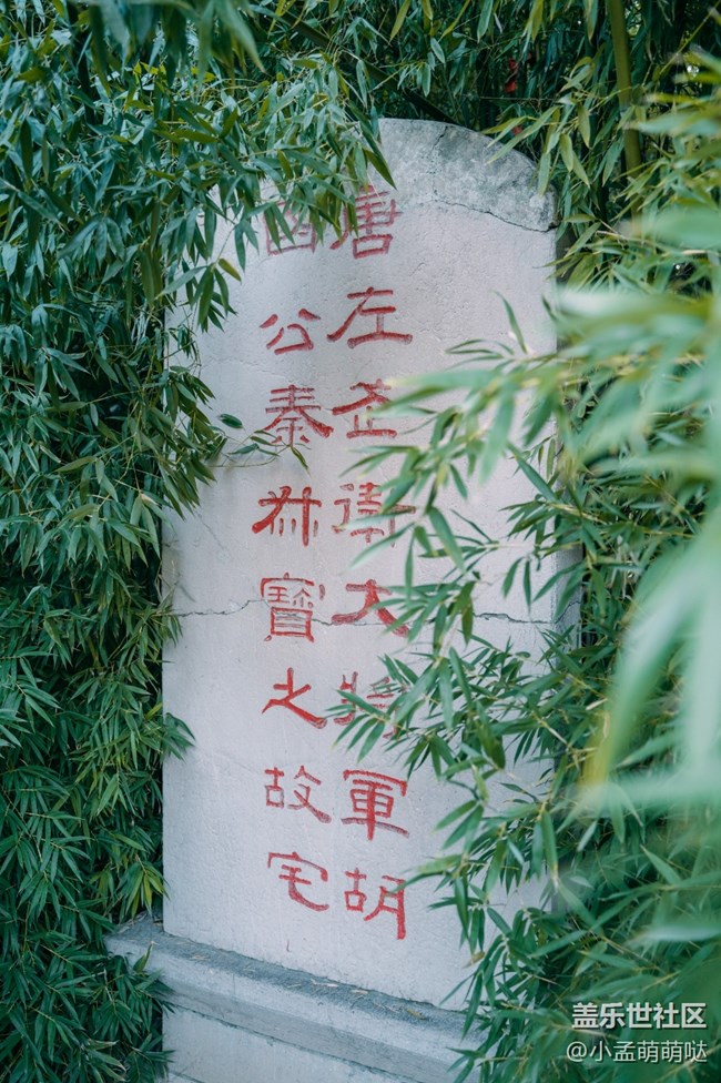 11月14日的活動去趵突泉真好