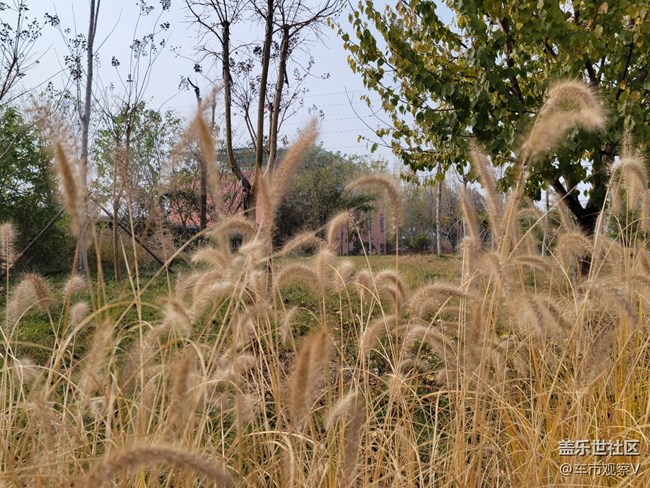 趁著最后的綠色還沒被枯黃所替代，趕緊出去轉(zhuǎn)轉(zhuǎn)吧。