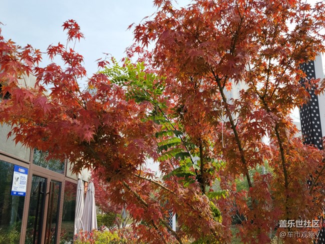 趁著最后的綠色還沒被枯黃所替代，趕緊出去轉(zhuǎn)轉(zhuǎn)吧。