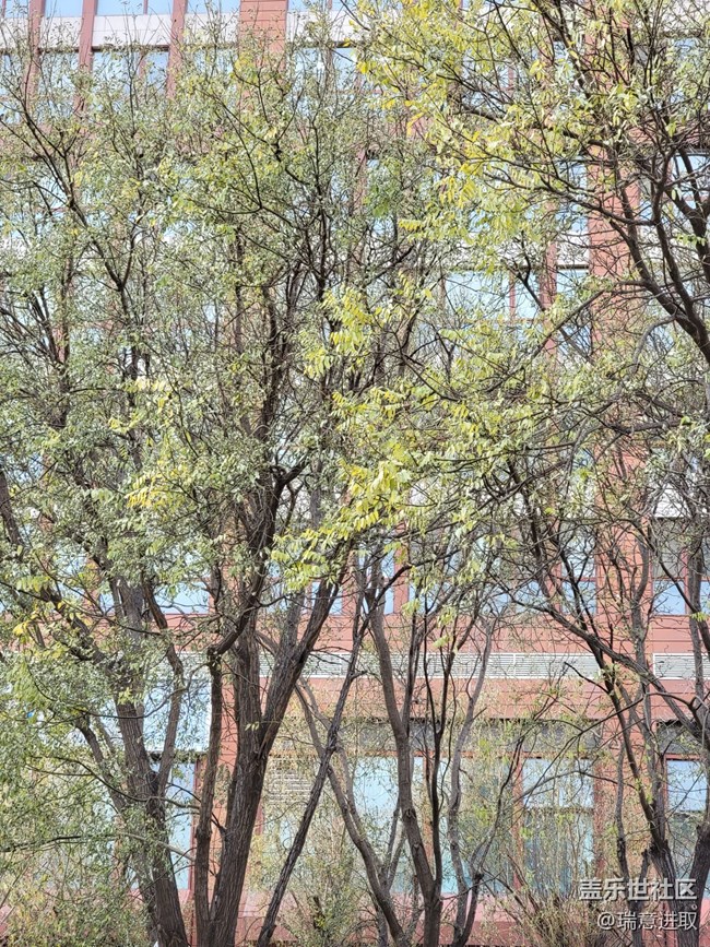 出門隨手拍，試試三星S21 Ultra的拍照，很頂！